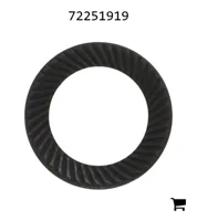 AGCO 72251919 Шайба