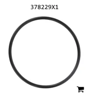 AGCO 378229X1 Уплотнительное кольцо муфты переднего моста, Ø 59,99 x 2,62 мм