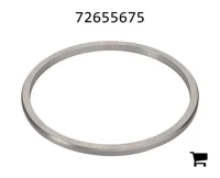 AGCO 72655675 Шайба