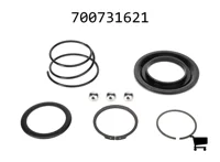 AGCO 700731621 Комплект стопорного кольца