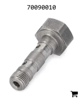 AGCO 70090010 Болт банджо