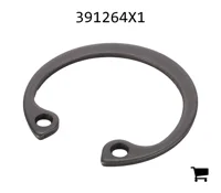 AGCO 391264X1 Стопорное кольцо