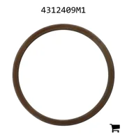 AGCO 4312409M1 Шайба