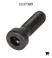 AGCO 1137309 Винт с цилиндрической головкой и шестигранным углублением