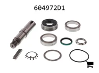 AGCO 604972D1 Вал