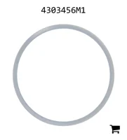 AGCO 4303456M1 Втулка