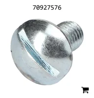 AGCO 70927576 Винт