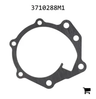 AGCO 3710288M1 Прокладка водяного насоса