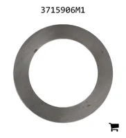 AGCO 3715906M1 Шайба
