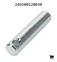 AGCO 246500120030 Болт