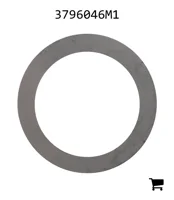AGCO 3796046M1 Шайба