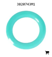 AGCO 3820743M1 Уплотнительное кольцо