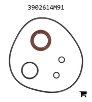 AGCO 3902614M91 Комплект соединений и прокладок