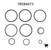 AGCO 70584673 Ремкомплект