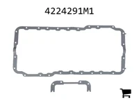 AGCO 4224291M1 Прокладка