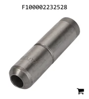 AGCO F100002232528 Направляющая клапана