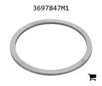 AGCO 3697847M1 Шайба