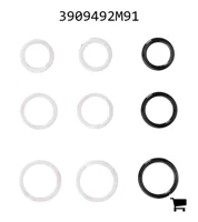 AGCO 3909492M91 Прокладка