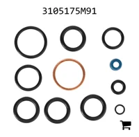 AGCO 3105175M91 Комплект уплотнений