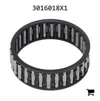 AGCO 3016018X1 Игольчатый подшипник