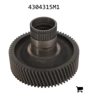 AGCO 4304315M1 Шестерня