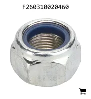 AGCO F260310020460 Стопорная гайка