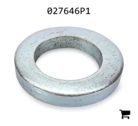 AGCO 027646P1 Шайба