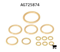 AGCO AG725874 Ремкомплект