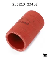 AGCO 2.3213.234.0 Втулка