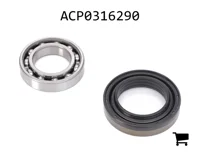 AGCO ACP0316290 Крестовина карданного вала