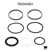 AGCO 70266683 Комплект уплотнений