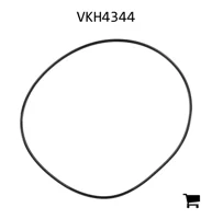 AGCO VKH4344 Уплотнительное кольцо