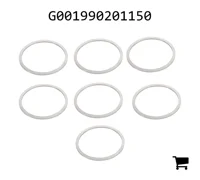 AGCO G001990201150 Комплект шайб