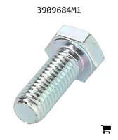 AGCO 3909684M1 Винт