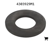 AGCO 4303929M1 Шайба