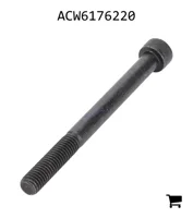 AGCO ACW6176220 Винт с головкой Torx