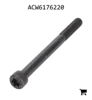 AGCO ACW6176220 Винт с головкой Torx