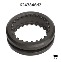 AGCO 6243846M2 Муфта