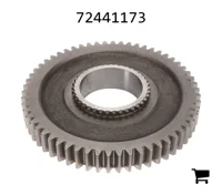 AGCO 72441173 Цилиндрическая шестерня