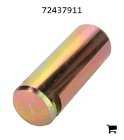 AGCO 72437911 Болт