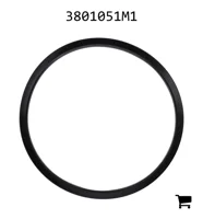 AGCO 3801051M1 Уплотнение подъемного рычага