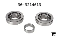 AGCO 30-3214613 Конический роликовый подшипниковый узел