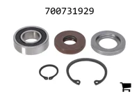 AGCO 700731929 Комплект сальников