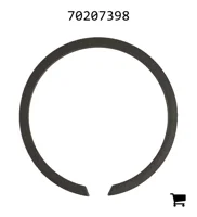 AGCO 70207398 Кольцо