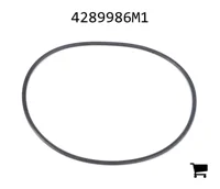 AGCO 4289986M1 Уплотнительное кольцо, вспомогательная гидравлика, гидравлический фильтр