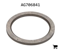 AGCO AG706841 Проставочная втулка