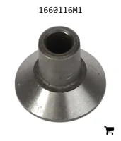 AGCO 1660116M1 Клапан