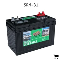 AGCO SRM-31 Аккумуляторная батарея