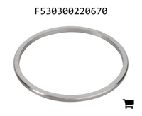 AGCO F530300220670 Шайба