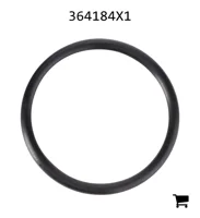 AGCO 364184X1 Уплотнительное кольцо